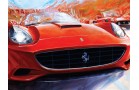 Canvas: Ferrari Club of America 50th
